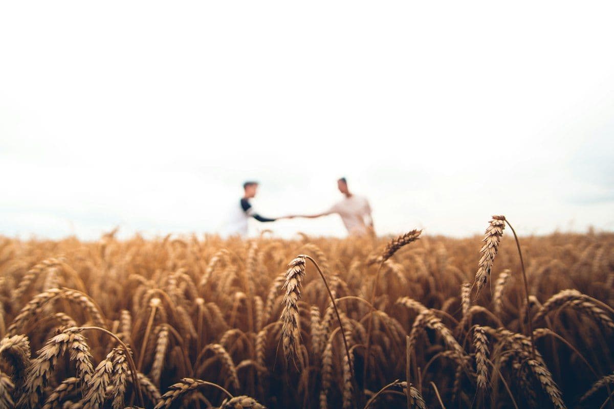 IA en el agro LATAM: cómo capacitar a tu equipo en 2026